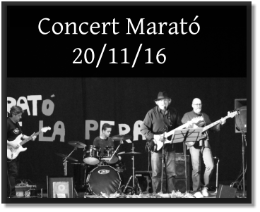 Concert Marató  20/11/16